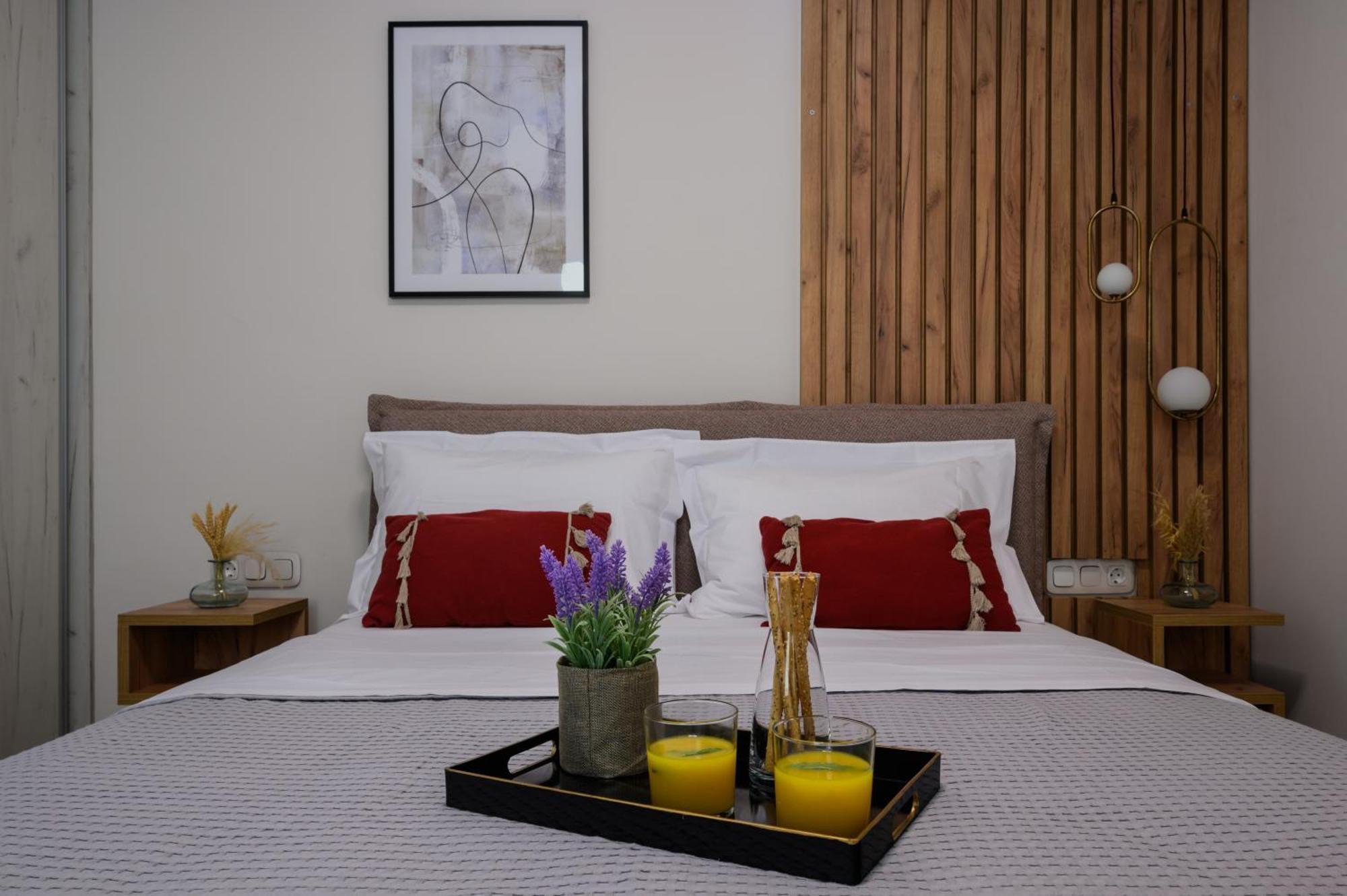 Vicanti Luxury Apartment Pylos